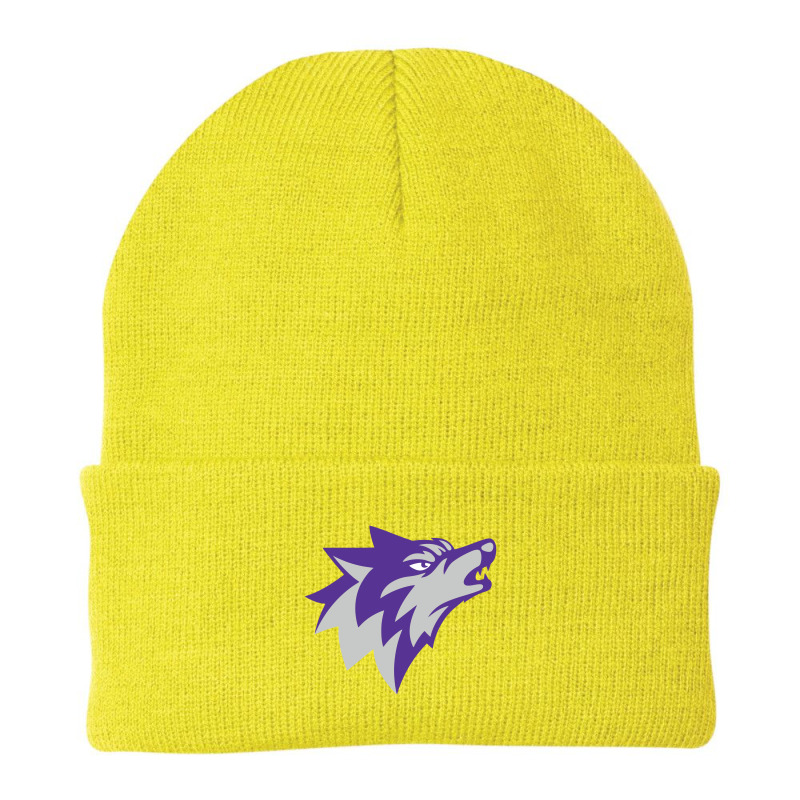 Boston Latin School Beanie by Shane wayne | Artistshot