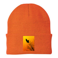 Bald Eagle Sunrise T Shirt Beanie | Artistshot