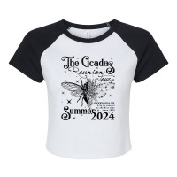 The Cicadas Reunion Tour Summer 2024 Cicada Nature Raglan Crop Top | Artistshot