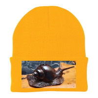 Snail Beanie | Artistshot