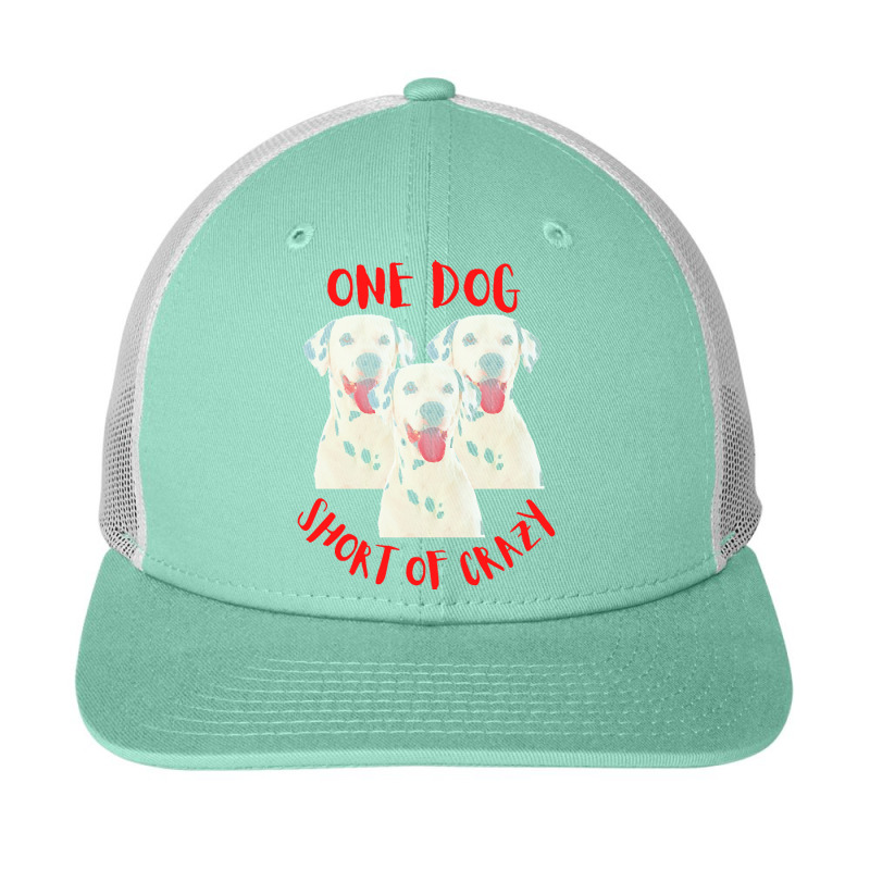 One Dog Short Of Crazy T  Shirtone Dog Short Of Crazy T  Shirt (14) Snapback Trucker Cap | Artistshot