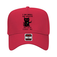 Lgbt Cat I Am Small And Sensitive But Also Fight Me Pride Adjustable Baseball Cap | Artistshot