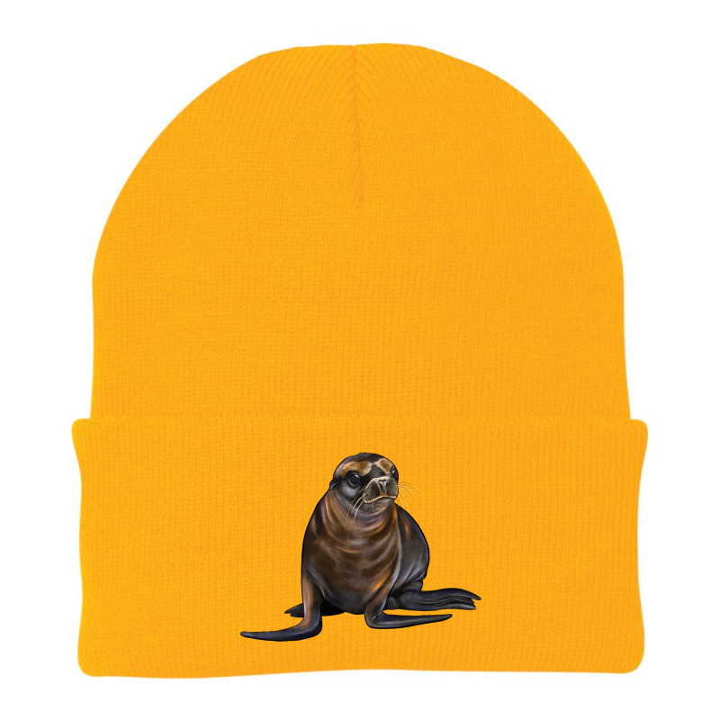 Sea Lion Illustrations Beanie by LillyAllenDesigns | Artistshot