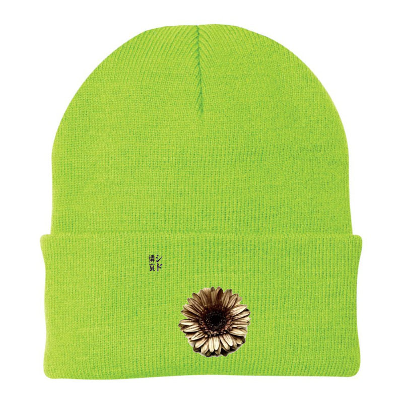 Sid Beanie by firsebella | Artistshot