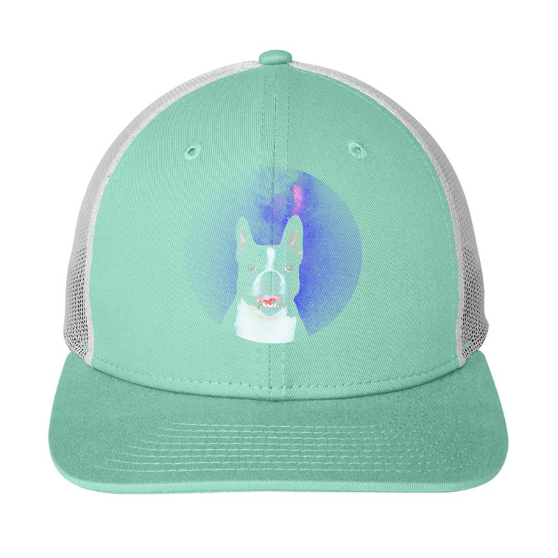 Boston Terrier T  Shirtfunny Boston Terrier Lover Face Dog Galaxy T  S Snapback Trucker Cap | Artistshot