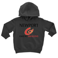 Newport Gwent Dragons Toddler Hoodie | Artistshot