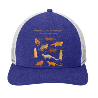 Meerkat And Mongoose Species Premium Snapback Trucker Cap | Artistshot