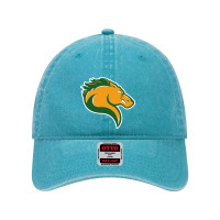 Marywood Merch, Pacers Dyed Cap | Artistshot