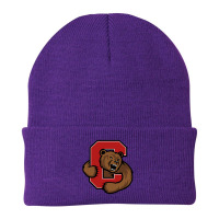 Cool,cornell,big,red Beanie | Artistshot