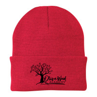 Olivewood Academy Elgin School Beanie | Artistshot