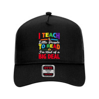 I Teach Little People To Read I'm Sort Of A Big Deal Mesh Back Trucker Hat | Artistshot