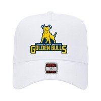 Johnson C. Smith University Golden Bulls Adjustable Baseball Cap | Artistshot