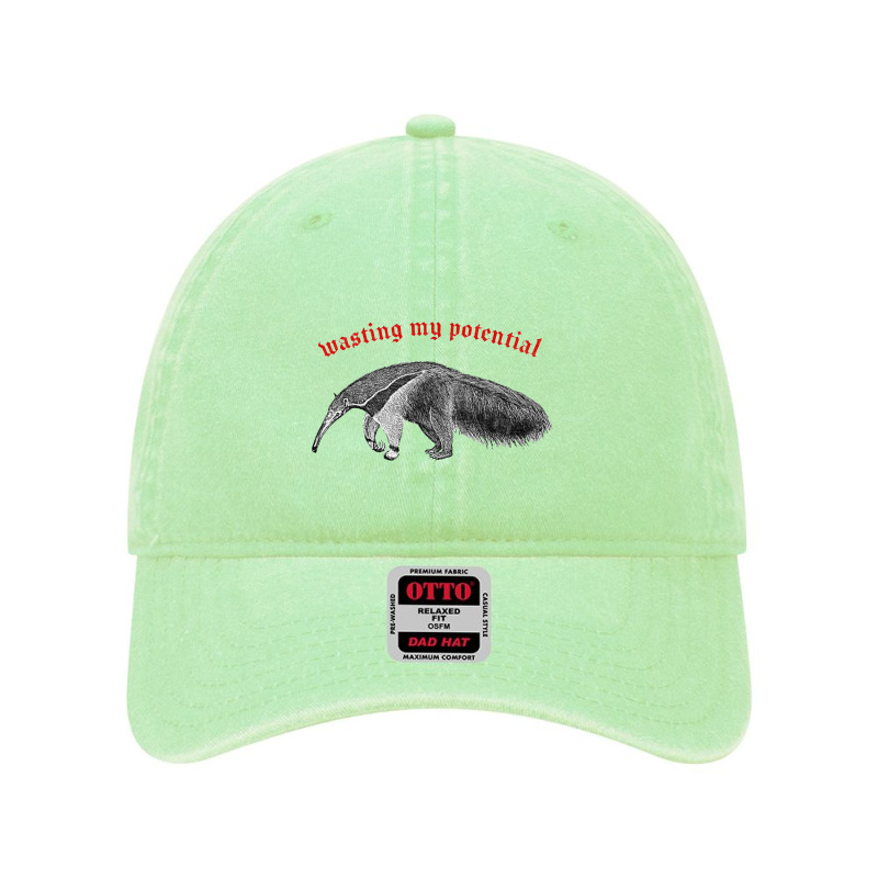 Wasting My Potential ∆ Nihilist Anteater Design Dyed Cap by oragumun | Artistshot