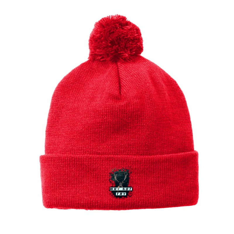 Why Not Try Pom Pom Beanie by lik9787 | Artistshot