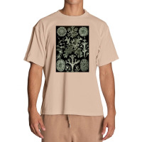 Lichen By Ernst Urban Heavy T-shirt | Artistshot