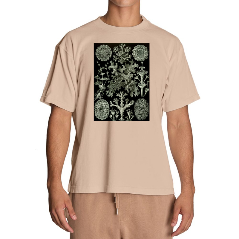 Lichen By Ernst Urban Heavy T-shirt by acesenpaii | Artistshot