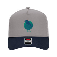 Alaska Osprey Sea Green Raptor Ocean Bird Premium Mesh Back Trucker Hat | Artistshot