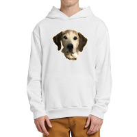 Dog Gawking Urban Pullover Hoodie | Artistshot