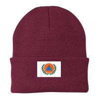 International Civil Defence Organization Flag T Shirt Beanie | Artistshot