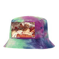 Funny Tie Dyed Bucket Hat | Artistshot