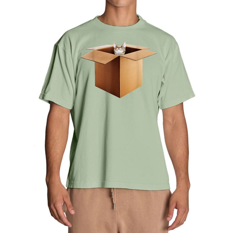 Funny Cat In A Big Cardboard Box For Cat Owners T Shirt Urban Heavy T-shirt by cm-arts | Artistshot