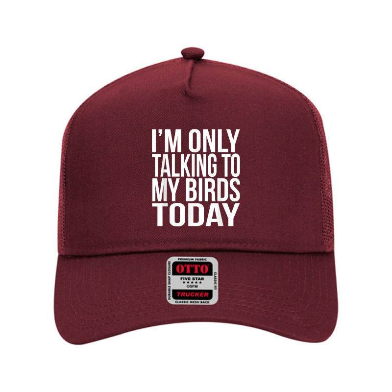 I'm Only Talking To My Birds Today Gift For A Pet Bird Lover T Shirt Mesh Back Trucker Hat by annalyneplacencia | Artistshot