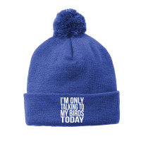 I'm Only Talking To My Birds Today Gift For A Pet Bird Lover T Shirt Pom Pom Beanie | Artistshot