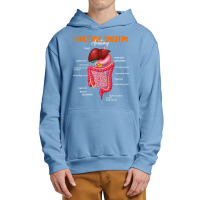 Funny Digestive System Anatomy Anatomical Biology Teacher T Shirt Urban Pullover Hoodie | Artistshot