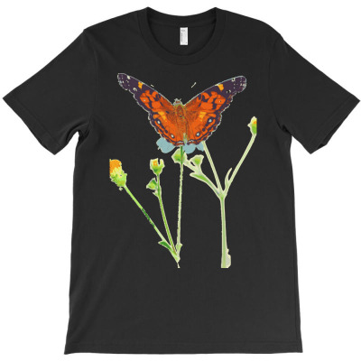 Butterfly T  Shirt B U T T E R F L Y B E A U T I F U L D R A W I N G T T-shirt Designed By Levi Nicolas