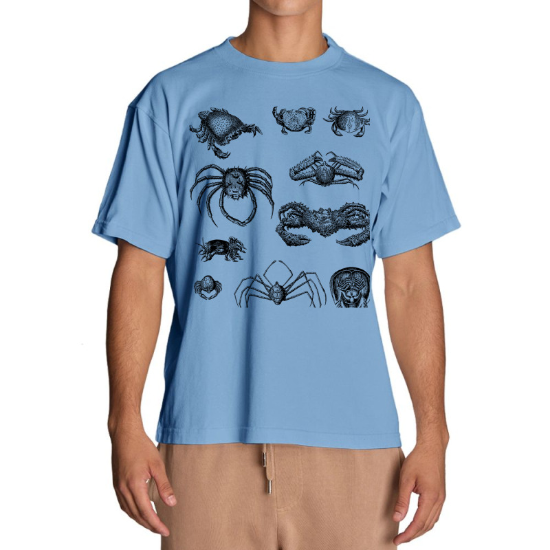 Crustaceancore For Ocean And Animal Lovers Sea Life Urban Heavy T-shirt | Artistshot