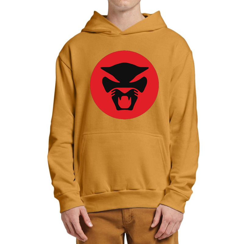 Amercian Bass Guitar  Thundercat Premium Urban Pullover Hoodie by JESSICAALLEN | Artistshot