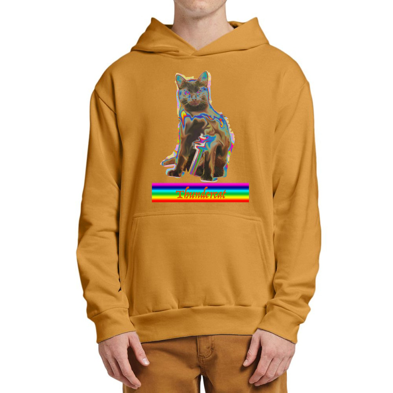 Thunder Cat Kitty Print Urban Pullover Hoodie by JESSICAALLEN | Artistshot