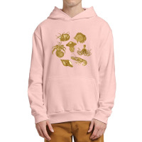 Golden Crustaceancore Urban Pullover Hoodie | Artistshot