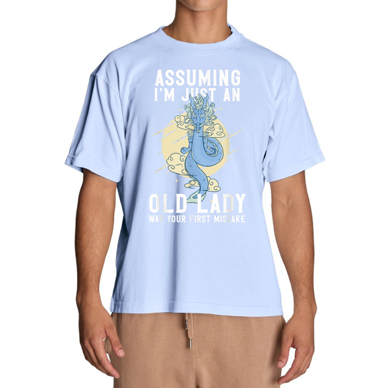 Assuming I'm Just An Old Lady Was Your First Mistake Dragons T Shirt Urban Heavy T-shirt by cm-arts | Artistshot