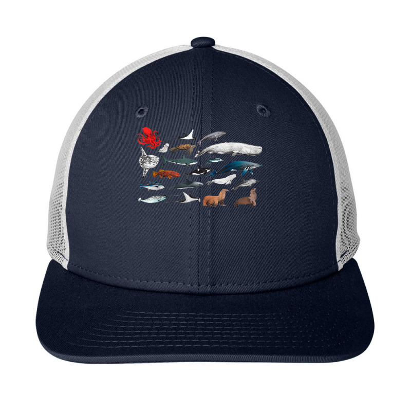 Sea Creatures Collection, Fish Shark Whale Moonfish Fish Motif T Shirt Snapback Trucker Cap by deleonnylorindg | Artistshot