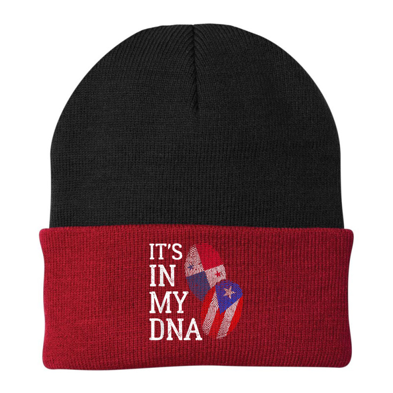 It's In My Dna Panamanian Puerto Rican Panama Puerto Rico T Shirt Beanie by butacnlzaidelpz | Artistshot