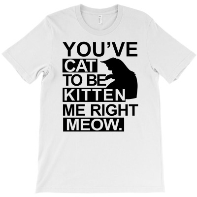 You've Cat To Be Kitten Me Right Meow Tshirt Funny Animal Lovers Tee C T-shirt Designed By Dwi Irvansyah