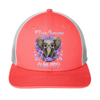 Elephant I Love Someone With Irritable Bowel Syndrome Cute Snapback Trucker Cap | Artistshot