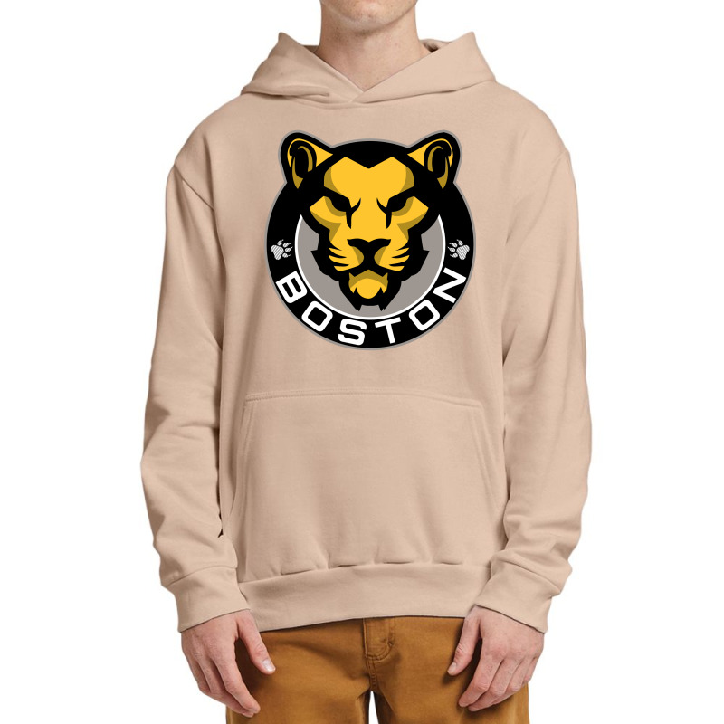 The Boston Pride Urban Pullover Hoodie by aqsat | Artistshot