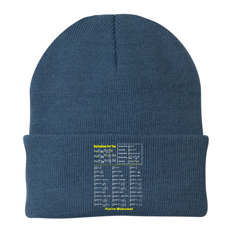 Derivatives For You You’re Welcome Funny Math Graphic Music Beanie by Aria-Proctor | Artistshot