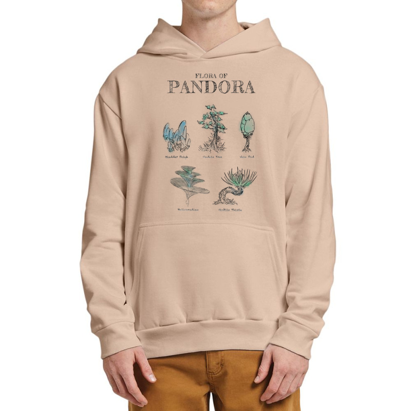 Avatar Floral Of Pandora Textbook Sketches Raglan Baseball Tee Urban Pullover Hoodie | Artistshot