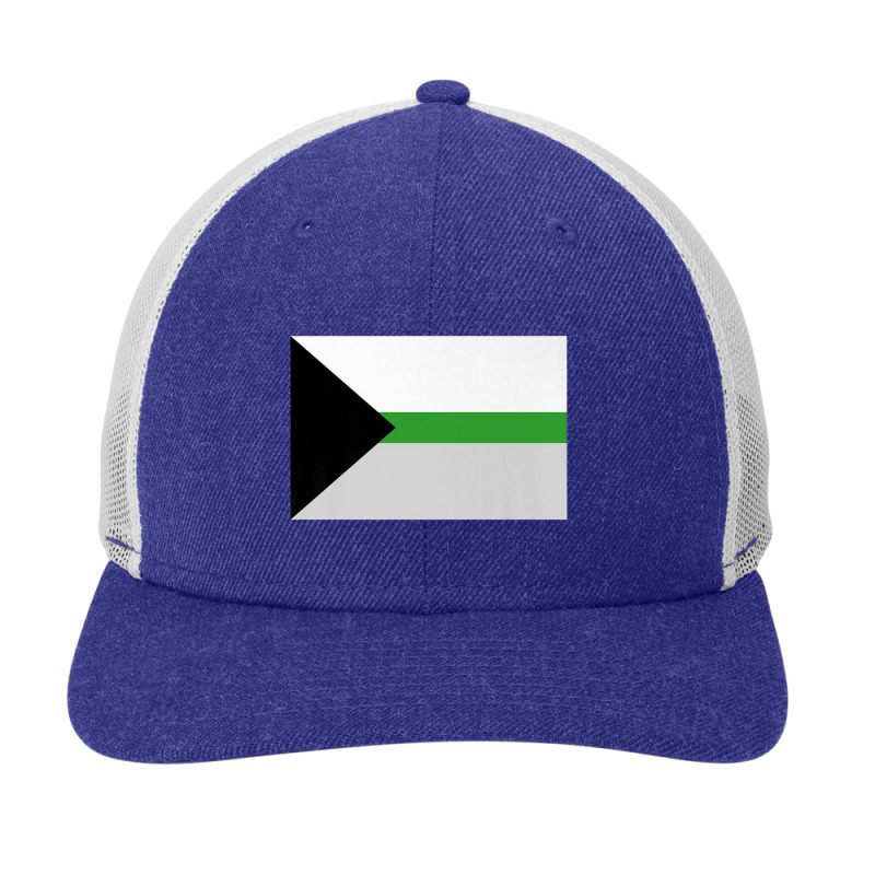 Demiromantic Pride Flag National Pride Gift Snapback Trucker Cap by RayDesign | Artistshot