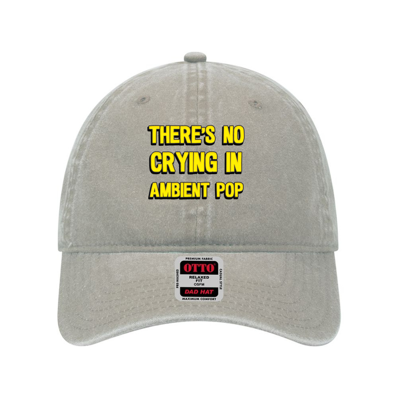 There's No Crying In Ambient Pop Long Sleeve T Shirt Dyed Cap by cm-arts | Artistshot