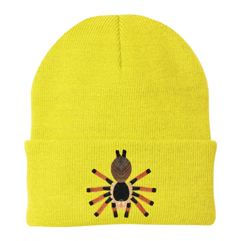 Megaphobema Robustum Colombia Giant Bird Spider Beanie by Enviable | Artistshot