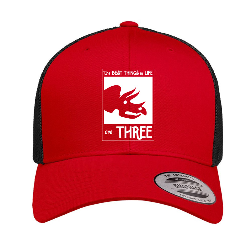 The Best Things In Life Are Three Retro Trucker Cap by michaelnaher | Artistshot