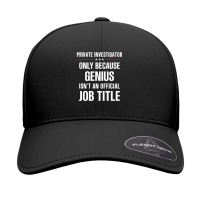 Gift For Genius Private Investigator Seamless Cap | Artistshot