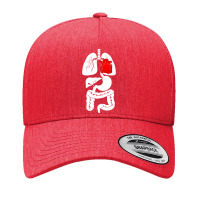 Funny Internal Organ Under The Skeleton Rib Cage Halloween Yupoong Trucker Cap | Artistshot