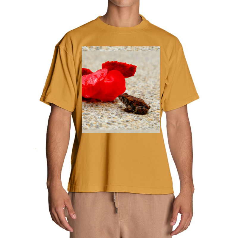 Cute Tiny Multi Colored Frog Next To A Red Geranium Blossom Flower  Sl Urban Heavy T-shirt by cm-arts | Artistshot