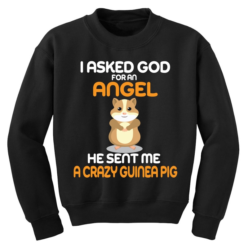 I Asked God  For An Angel He Sent Me A Crazy   Guinea Pig Youth Sweatshirt | Artistshot