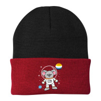 Koala Astronaut Aroace Pride Beanie | Artistshot